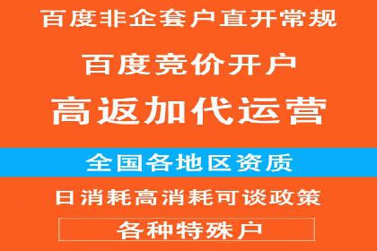 SEM运营公司案例解析：精准广告投放技巧